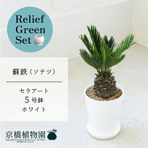 y30P5{Izy}\N[|Lzy[tO[ZbgzyZA[g^zCgzhSi\ecj@5y󂯎Mtz×KW}y픫/󂯎Mtzy2Zbgz