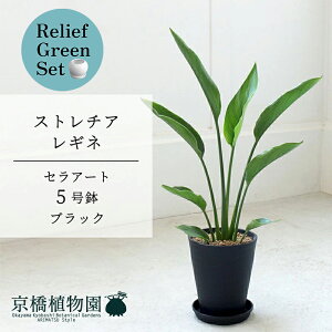 y30P5{Izy}\N[|Lzy[tO[ZbgzyZA[g^ubNzXg`AEMl@5y󂯎Mtz×KW}y픫/󂯎Mtzy2Zbgz