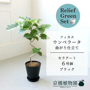 y30P5{Izy}\N[|Lzy[tO[ZbgzyZA[g^ubNztBJX@Ex[^@Ȃ@6@E6Gy󂯎Mtz×KW}y픫/󂯎Mt