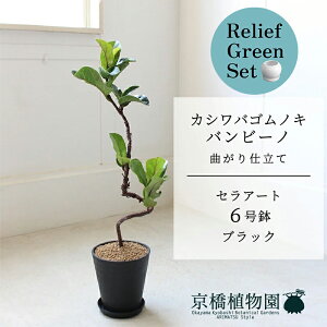 y30P5{Izy[tO[ZbgzyZA[g^ubNzJVoSmLtBJXE[^)or[m@Ȃ @6y󂯎Mtz×KW}y픫/󂯎Mtz