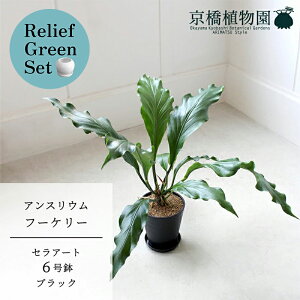 y30P5{Izy}\N[|Lzy[tO[ZbgzyZA[g^ubNzAXEEt[P[@6y󂯎Mtz×KW}y픫/󂯎Mtzy2Z