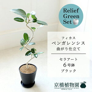 y30P5{Izy}\N[|Lzy[tO[ZbgzyZA[g^ubNztBJX@xKVX@6@E6Gy󂯎Mtz×KW}y픫/󂯎Mtzy2