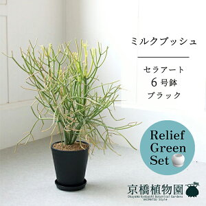 y30P5{Izy[tO[Zbgz~NubV(X)@6iZA[gj×KW}y픫/󂯎Mtzy2Zbgz