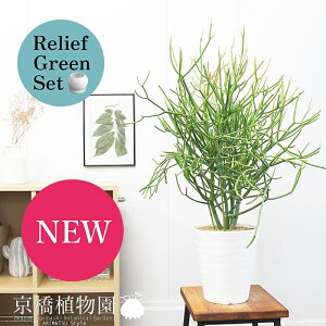 y1P7{Izy[tO[Zbgz~NubVX)@6iZA[gj×KW}y픫/󂯎Mtzy2Zbgz