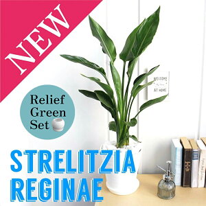 y30P5{Izy}\N[|Lzy[tO[ZbgzXg`A/Xg`AEMl@6yZA[gz×KW}y픫/󂯎Mtzy2Zbgz