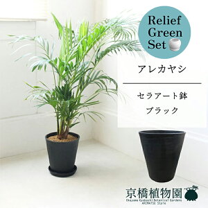 ySSN[|zySSizy[tO[ZbgzyZA[gFubNzAJV@7@6G×KW}y픫/󂯎Mtzy2Zbgz