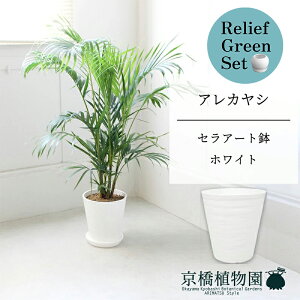 ySSN[|zySSizy[tO[ZbgzyZA[gFzCgzAJV@7@6G×KW}y픫/󂯎Mtzy2Zbgz