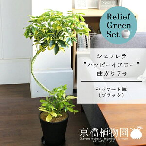 y30P5{Izy[tO[ZbgzyZA[gFubNzVFtenbs[CG[f@Ȃ7×KW}y픫/󂯎Mtzy2Zbgz