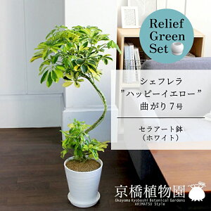 y25P5{IzyubNtCf[N[|LIzy[tO[ZbgzyZA[gFzCgzVFtenbs[CG[f@Ȃ7×KW}y픫/󂯎Mt