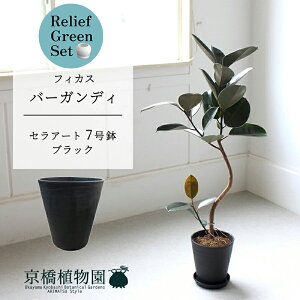 ySSN[|zySSizy[tO[ZbgzyZA[gFubNztBJXEo[KfB@Ȃ@7×KW}y픫/󂯎Mtzy2Zbgz