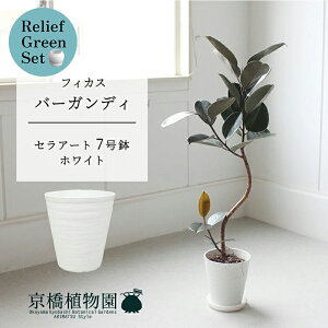 ySSN[|zySSizy[tO[ZbgzyZA[gFzCgztBJXEo[KfB@Ȃ@7×KW}y픫/󂯎Mtzy2Zbgz