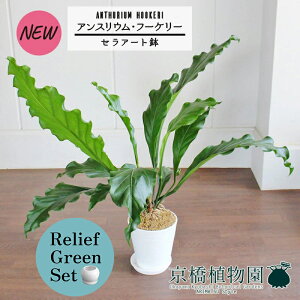 y30P5{Izy}\N[|Lzy[tO[ZbgzyZA[gzAXEEt[P[@7×KW}y픫/󂯎Mtzy2Zbgz