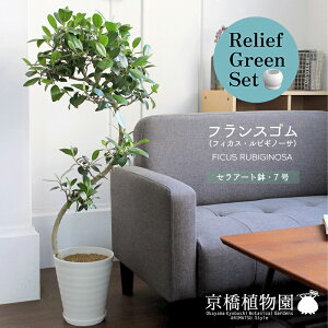 �y�����[�t�O���[���Z�b�g�z�y�Z���A�[�g���F7���z�t�����X�S���i�t�B�J�X�E���r�M�m�[�T�j�Ȃ���d���āy�󂯎M�t���z×�K�W���}���y���픫/�󂯎M�t���z�y2���Z�b�g�z