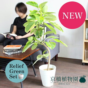 y1P7{Izy[tO[ZbgztBJXEAeV[}@7@Ȃ@ZA[g×KW}y픫/󂯎Mtzy2Zbgz