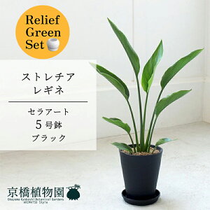 y[tO[ZbgzyZA[g^ubNzXg`AEMl@5y󂯎Mtz×tXS@Ȃy픫/󂯎Mtzy2Zbgz