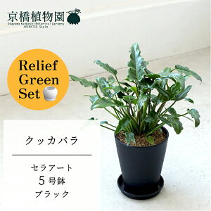 y[tO[ZbgzyZA[g^ubNzNbJo@5y󂯎Mtz×tXS@Ȃy픫/󂯎Mtzy2Zbgz