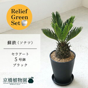 y[tO[ZbgzyZA[g^ubNzhSi\ecj@5y󂯎Mtz×tXS@Ȃy픫/󂯎Mtzy2Zbgz