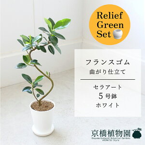 y[tO[ZbgzyZA[g^zCgztXS@Ȃ@5y󂯎Mtz×tXS@Ȃy픫/󂯎Mtzy2Zbgz