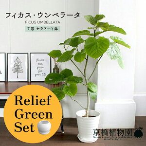 y5P5{IzySSN[|zy[tO[ZbgztBJXEEx[^7yZA[g/󂯎Mtz×tXS@Ȃy픫/󂯎Mtzy2Zbgz