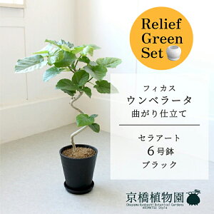 y30P5{Izy}\N[|Lzy[tO[ZbgzyZA[g^ubNztBJX@Ex[^@Ȃ@6@E6Gy󂯎Mtz×tXS@Ȃy픫