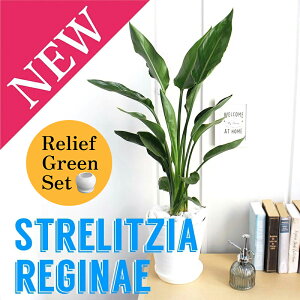 ySSN[|zy[tO[ZbgzXg`A/Xg`AEMl@6yZA[gz×tXS@Ȃy픫/󂯎Mtzy2Zbgz