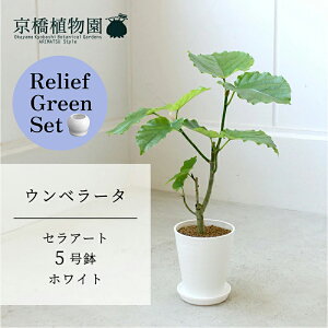 y30P5{Izy}\N[|Lzy[tO[ZbgzyZA[g^zCgzEx[^@5y󂯎Mtz×TXxAy픫/󂯎Mtzy2Zbgz