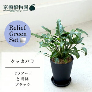 y[tO[ZbgzyZA[g^ubNzNbJo@5y󂯎Mtz×TXxAy픫/󂯎Mtzy2Zbgz