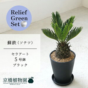 y[tO[ZbgzyZA[g^ubNzhSi\ecj@5y󂯎Mtz×TXxAy픫/󂯎Mtzy2Zbgz