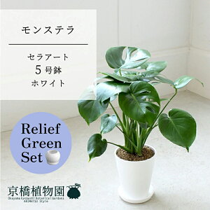 y[tO[ZbgzyZA[g^zCgzXe@5y󂯎Mtz×TXxAy픫/󂯎Mtzy2Zbgz