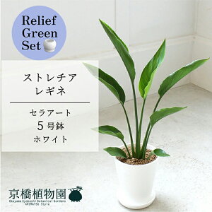 y[tO[ZbgzyZA[g^zCgzXg`AEMl@5y󂯎Mtz×TXxAy픫/󂯎Mtzy2Zbgz