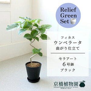 y30P5{Izy}\N[|Lzy[tO[ZbgzyZA[g^ubNztBJX@Ex[^@Ȃ@6@E6Gy󂯎Mtz×TXxAy픫/󂯎M