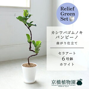 y5P5{IzySSN[|zySSizy[tO[ZbgzyZA[g^zCgzJVoSmLtBJXE[^)or[m@Ȃ @6y󂯎Mtz×T