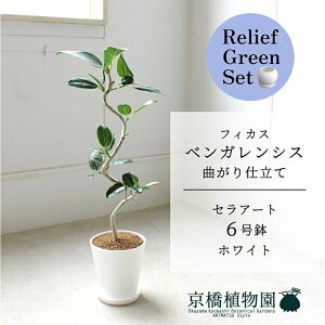 ySSN[|zy[tO[ZbgzyZA[g^zCgztBJX@xKVX@6@E6Gy󂯎Mtz×TXxAy픫/󂯎Mtzy2Zbgz