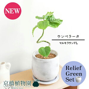 y5P5{IzySSN[|zy[tO[Zbgzy}EhLzEx[^@Ȃy󂯎Mtz4G×TXxAy픫/󂯎Mtzy2Zbgz