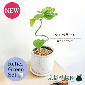 y5P5{IzySSN[|zy[tO[ZbgzyXeEhFLTCY/픫zEx[^@Ȃy󂯎Mtz4G×TXxAy픫/󂯎Mtzy2Zbg