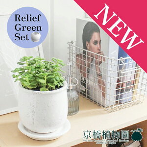 y30P5{Izy[tO[ZbgzyXeEhFMTCY/픫zn[u A}eBJXy󂯎Mtz×TXxAy픫/󂯎Mtzy2Zbgz