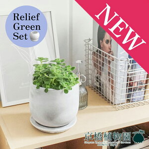 y30P5{Izy[tO[Zbgzy}EhSTCY/󂯎Mtzn[u A}eBJX×TXxAy픫/󂯎Mtzy2Zbgz