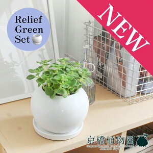 y1P7{Izy[tO[Zbgzy픫zn[u A}eBJXy󂯎Mtz×TXxAy픫/󂯎Mtzy2Zbgz