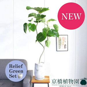 y1P7{Izy[tO[Zbgzy}EhLEg[TCYzEx[^@Ȃy󂯎Mtz×TXxAy픫/󂯎Mtzy2Zbgz