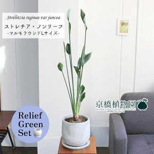 y[tO[Zbgzy}EhLTCYzXg`A/Xg`AEm[tiPAjy󂯎Mtz×TXxAy픫/󂯎Mtzy2Zbgz