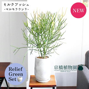 y[tO[Zbgzy}Ehg[LTCYz~NubViXjy󂯎Mtz×TXxAy픫/󂯎Mtzy2Zbgz