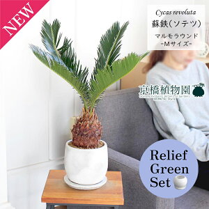 y[tO[Zbgzy}EhMTCYz\ecihSjy󂯎Mtz×TXxAy픫/󂯎Mtzy2Zbgz