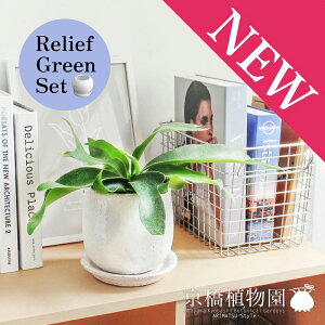 y[tO[ZbgzyXeEhFMTCY/픫zREErtJcy󂯎Mtz×TXxAy픫/󂯎Mtzy2Zbgz