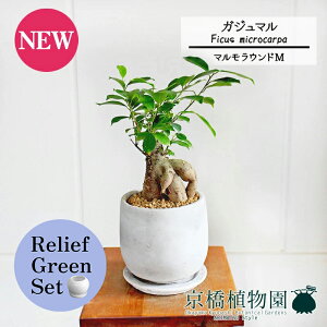 y30P5{Izy[tO[Zbgzy}EhMzKW}y󂯎Mtz5G×TXxAy픫/󂯎Mtzy2Zbgz