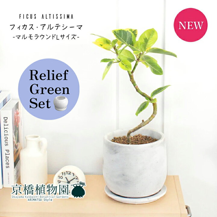楽天市場】【15日はP5倍！】【マラソンクーポン有！】【リリーフ 