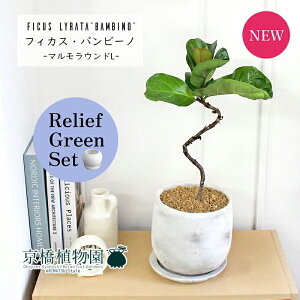 y[tO[Zbgzy}EhLTCY/󂯎MtzJVoSmL or[m Ȃ 4G×TXxAy픫/󂯎Mtzy2Zbgz