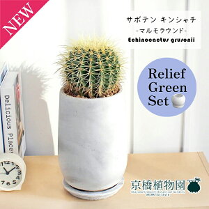 ySSN[|zySSizy[tO[Zbgzy}Ehg[LTCYzT{e ́iLV`jy󂯎Mtz5G×TXxAy픫/󂯎Mtzy2Zb