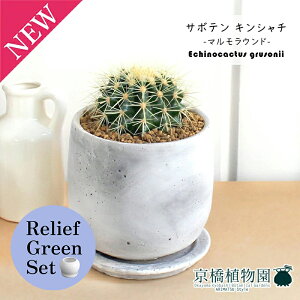 y}\N[|Lzy[tO[Zbgzy}EhMTCYzT{e ́iLV`jy󂯎Mtz4G×TXxAy픫/󂯎Mtzy2Zbgz