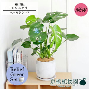 ySSN[|zy[tO[Zbgzy}EhLzXe y󂯎Mtz5G×TXxAy픫/󂯎Mtzy2Zbgz