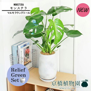 y5P5{IzySSN[|zy[tO[Zbgzy}Ehg[LTCYzXe y󂯎Mtz5G×TXxAy픫/󂯎Mtzy2Zbgz